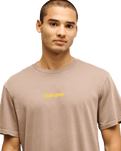 The Quiksilver Mens EVO Rays T-Shirt in Pine Bark