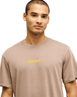 The Quiksilver Mens EVO Rays T-Shirt in Pine Bark