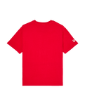 The Quiksilver Mens Echo T-Shirt in Salsa