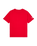 The Quiksilver Mens Echo T-Shirt in Salsa
