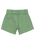 The Roxy Girls Girls Scenic Route Twill Shorts in Basil
