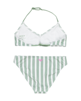 The Roxy Girls Girls Bico Active Tri Bikini Set in Basil Active Stripe