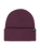 The Roxy Womens Tropical Snow Beanie in Blackberry Wine