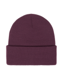The Roxy Womens Tropical Snow Beanie in Blackberry Wine