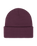 The Roxy Womens Tropical Snow Beanie in Blackberry Wine