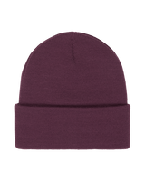 The Roxy Womens Tropical Snow Beanie in Blackberry Wine
