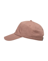 Dear Believer Logo Cap in Brownie