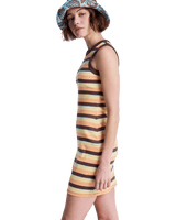 Iconic Days Stripe Dress in French Roast Hey Day Stripe