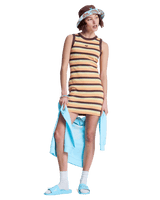 Iconic Days Stripe Dress in French Roast Hey Day Stripe