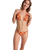 Hazy Days Moderate Bikini Bottoms in Ginger Spice Flores