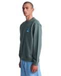 Antonia Figueiredo Twin Tulips Sweatshirt in Sage Leaf