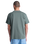 The RVCA Mens Americana T-Shirt in Sage Leaf