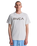 The RVCA Mens Big RVCA T-Shirt in Ceramic
