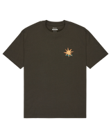 The RVCA Mens Pegasus T-Shirt in Pirate Black