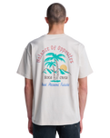 The RVCA Mens Frond Mural T-Shirt in Moonbeam