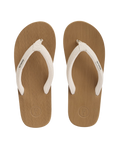 Sully Flip Flops in Latte Brown