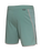 The Florence Marine X Mens Block Boardshorts in Sage