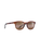 Koko Head Polarised Sunglasses in Matte Tortoise & HCL Bronze