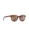 Koko Head Polarised Sunglasses in Matte Tortoise & HCL Bronze