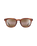 Koko Head Polarised Sunglasses in Matte Tortoise & HCL Bronze