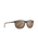 The Maui Jim Lele Kawa Polarised Sunglasses in Brown Stripe & HCL® Bronze