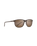 The Maui Jim Lele Kawa Polarised Sunglasses in Brown Stripe & HCL® Bronze