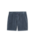 Ward Shorts in Tempest Blue