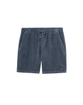 Ward Shorts in Tempest Blue