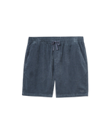 Ward Shorts in Tempest Blue