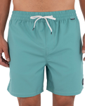 The Hurley Mens Volley Flex Low Tide Boardshorts in Broken Jade