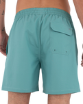 The Hurley Mens Volley Flex Low Tide Boardshorts in Broken Jade