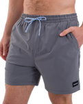 The Hurley Mens Phantom Eco Poolside Combo Boardshorts in Stone Grey