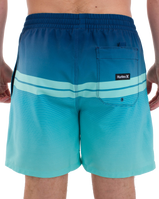 The Hurley Mens Cannonball Volley Shorts in Abyss 2