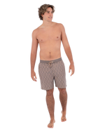 The Hurley Mens Phantom Naturals Tailgate Boardshorts in Woodside