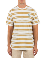 Naturals Stripe T-Shirt in Barely Bone