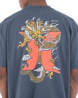 The Hurley Mens Dragon Lagoon T-Shirt in Iron Ore