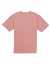 The Hurley Mens Sunny Dias T-Shirt in Phantom Rose
