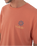 Whirlpool T-Shirt in Martian Rust
