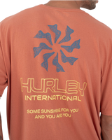 Whirlpool T-Shirt in Martian Rust