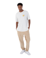 The Hurley Mens Okay T-Shirt in Barley Bone