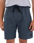 The Hurley Mens Phantom Flow Volley Shorts in Destroyer