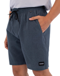 The Hurley Mens Phantom Flow Volley Shorts in Destroyer