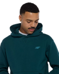 The New Balance Mens Numeric French Terry Hoodie in Medusa