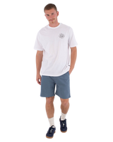 The Hurley Mens H2O Regular Walkshorts in Grey Teal