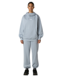 The The North Face Womens Essential Hoodie in Frost Grey
