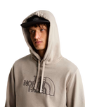 Drew Peak Light Hoodie in Stone Slab & New Taupe Green