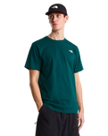 The The North Face Mens Evolution Simple Dome T-Shirt in Pacific Teal