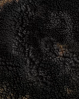 Extreme Pile 2 Fleece Jacket in TNF Black Light Refract