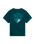 The The North Face Mens Retro Trail T-Shirt in Pacific Teal