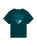 The The North Face Mens Retro Trail T-Shirt in Pacific Teal